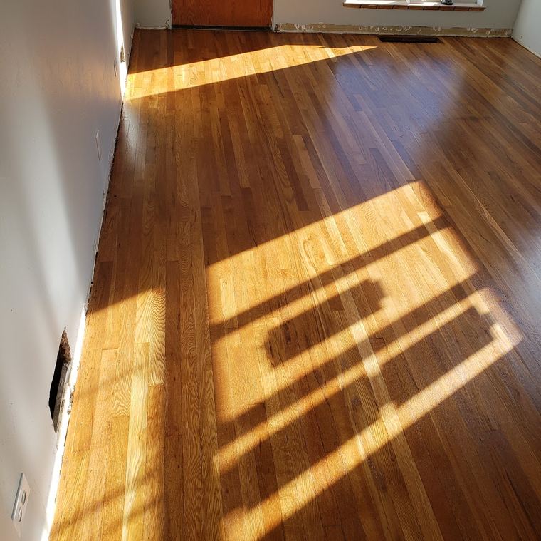 Refinished red oak floor in a sunny room