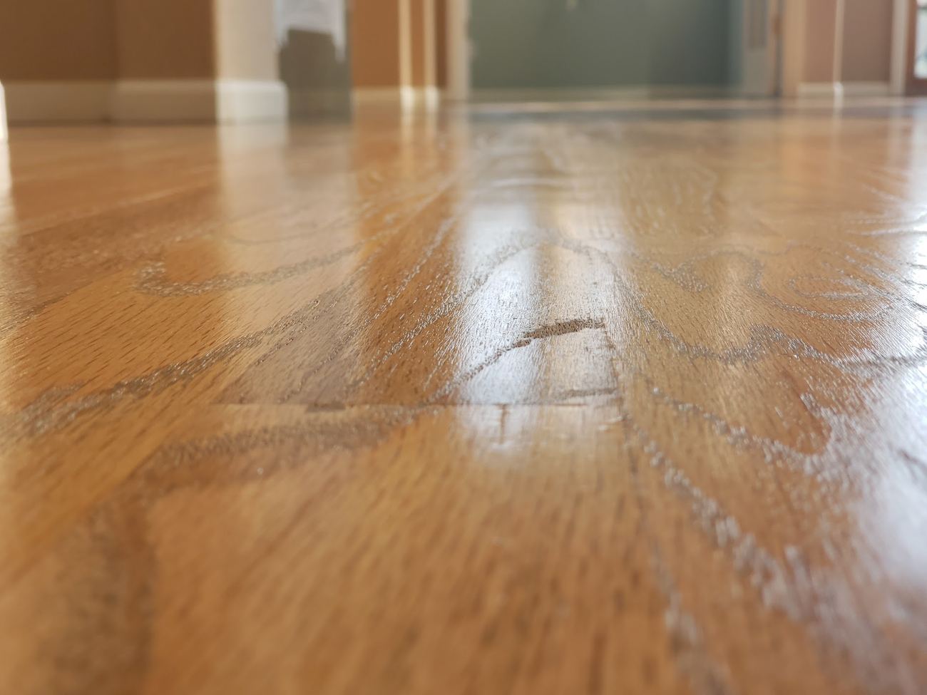 Low view across a freshly finished oak floor